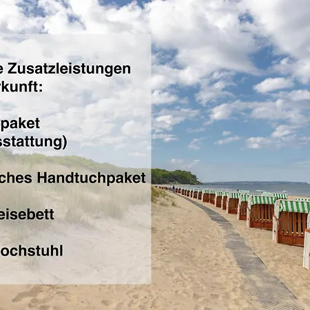 Steuermann *